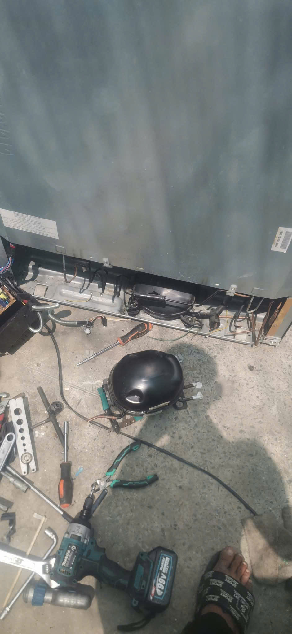 Tủ Lạnh Samsung Không Lạnh? Nguyên Nhân Bó Đá, Hỏng Quạt, Hết Gas & Cách Sửa
